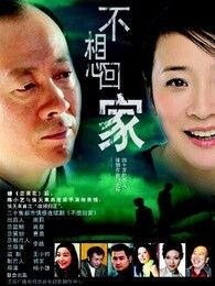 不想回家电视剧,揭开现代都市人情感困境的温情叙事